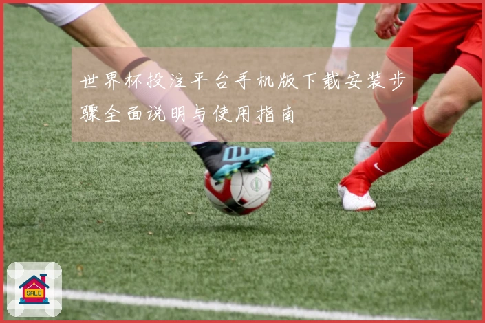 世界杯投注平台手机版下载安装步骤全面说明与使用指南