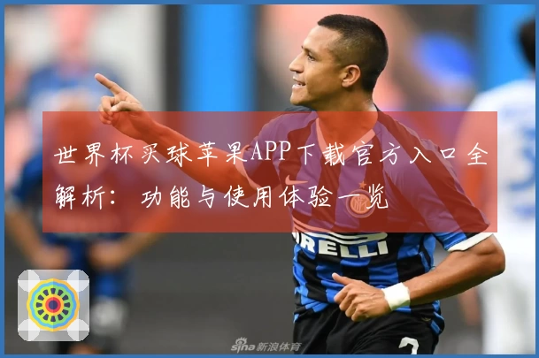 世界杯买球苹果APP下载官方入口全解析：功能与使用体验一览
