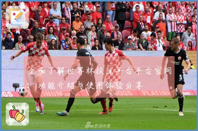 全面了解世界杯投注平台平台官网：功能介绍与使用体验分享