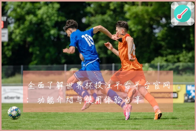 全面了解世界杯投注平台平台官网:功能介绍与使用体验分享